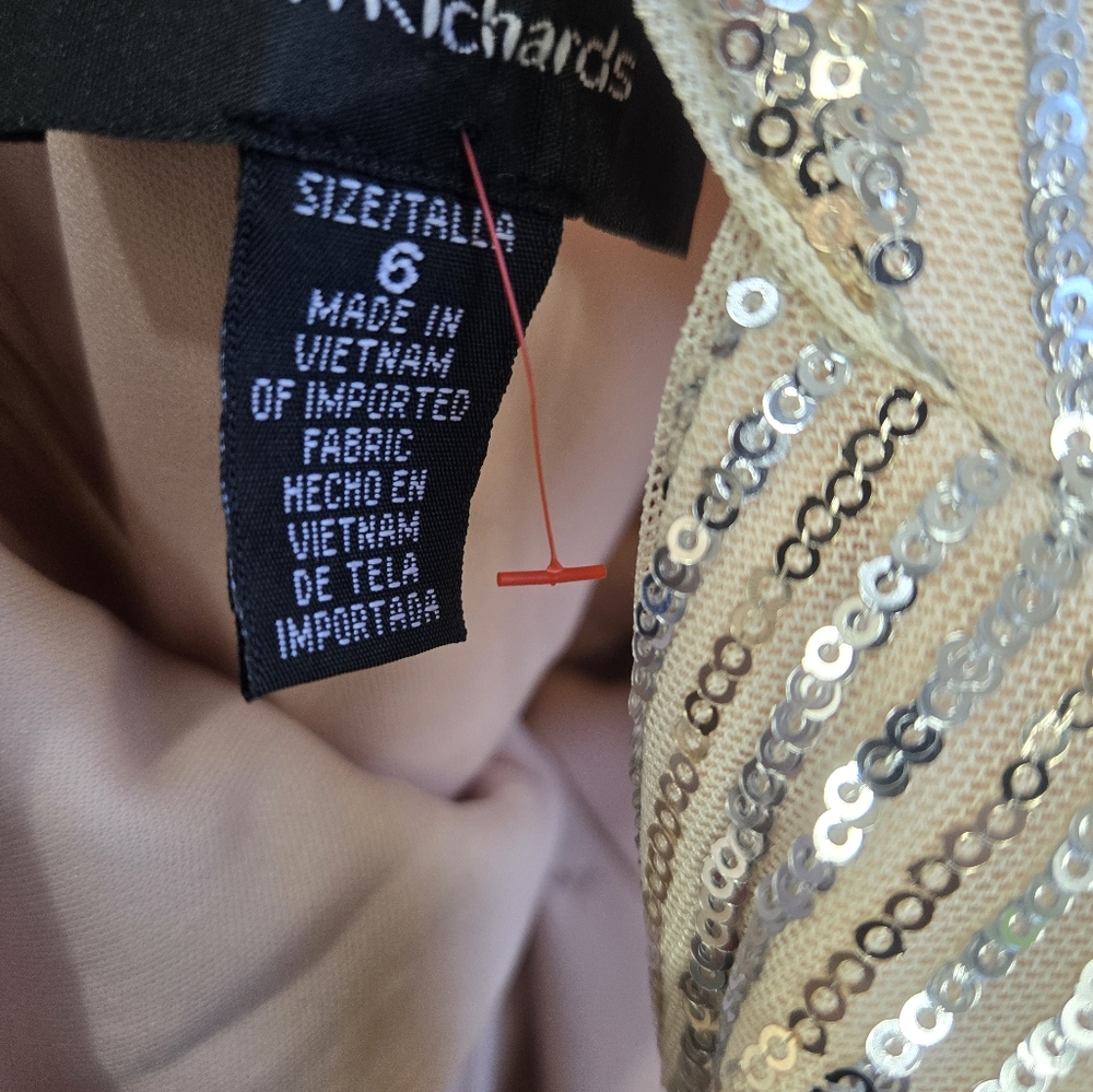 R&M Richards 6 Long Halter V-Neck Sleeveless Geometric Sequin Silver Nude New - Picture 7 of 9